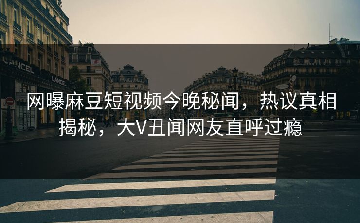 网曝麻豆短视频今晚秘闻，热议真相揭秘，大V丑闻网友直呼过瘾