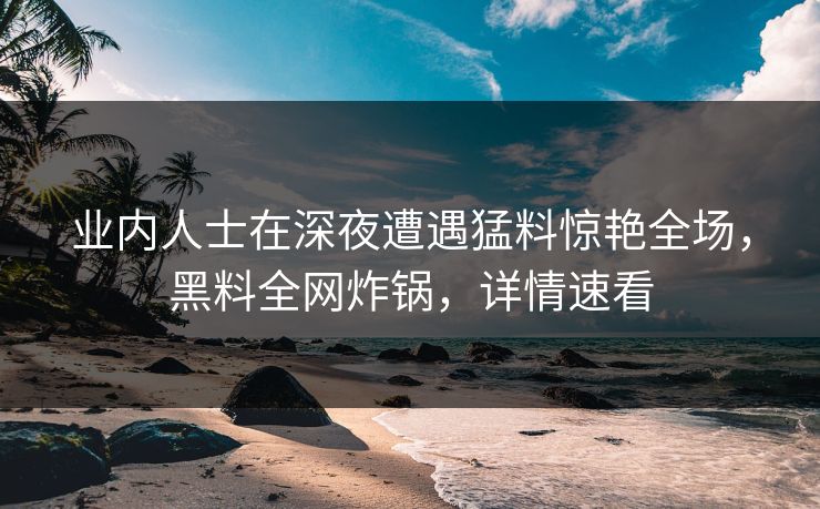 业内人士在深夜遭遇猛料惊艳全场，黑料全网炸锅，详情速看