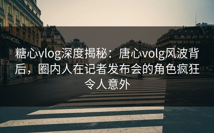 糖心vlog深度揭秘：唐心volg风波背后，圈内人在记者发布会的角色疯狂令人意外